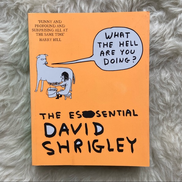 Other - THE ESSENTIAL DAVID SHRIGLEY 3/$30